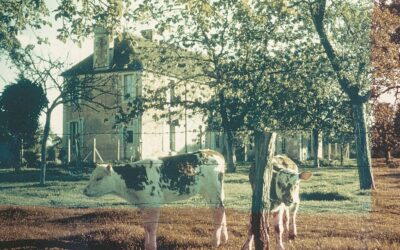 Château ou ferme normande : quel lieu pour votre mariage ?